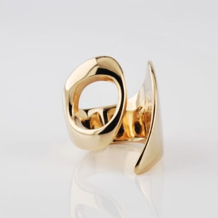 Vintage Shark - Bronzo